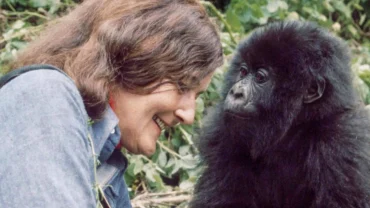 Dian Fossey