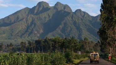 THE VIRUNGA MASSIF: VOLCANOES NATIONAL PARK & MGAHINGA NATIONAL PARK.
