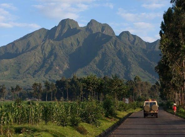 THE VIRUNGA MASSIF: VOLCANOES NATIONAL PARK & MGAHINGA NATIONAL PARK.